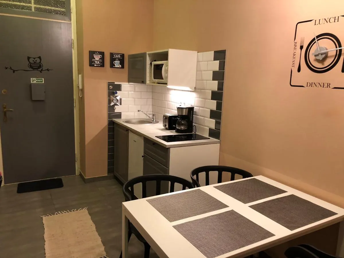 Dohany Studio Budapest Appartamento